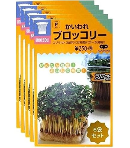 あや様1/31まで取り置き(スプラウト) Amazon | ブロッコリースプラウト（種）40ml 3袋セット | 野菜